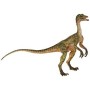Compsognathus-PAPO55072