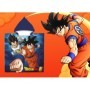 DRAGON BALL PONCHO PLAYA POLYESTER 55*110CM