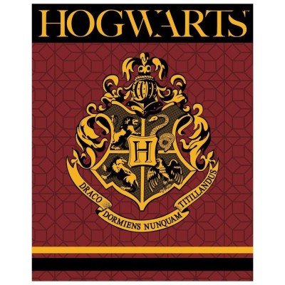 Harry Potter Manta premium Coralina Hogwarts 150 x 120 cm