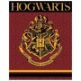 Harry Potter Manta premium Coralina Hogwarts 150 x 120 cm