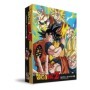 DRAGON BALL PUZZLE 3D 100PCS 23*31CM
