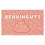 ARALE ALFONBRA BENVICUTS CON CACA ROSA  40*62CM