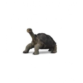 TORTUGA GIGANTE DE PINTA -M- 88619 COLLECTA
