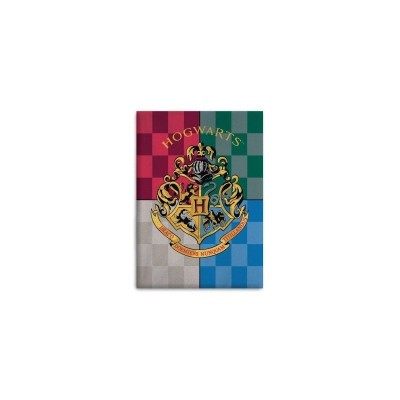 HARRY POTTER MANTA POLAR 100*140CM REF.5407007985456