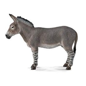 ASNO AFRICANO -L- 88664 COLLECTA