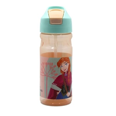 Frozen Botella 500ml