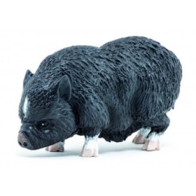 CERDO VIETNAMITA - FIGURA PAPO