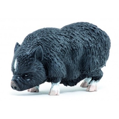 CERDO VIETNAMITA - FIGURA PAPO