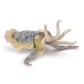 SEPIA COMÚN - XL - 80009 - COLLECTA