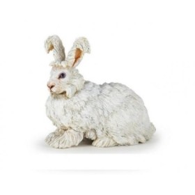 CONEJO DE ANGORA - PAPO