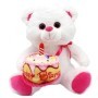 OSO TARTA CUMPLEANOS PELUCHE 30CM