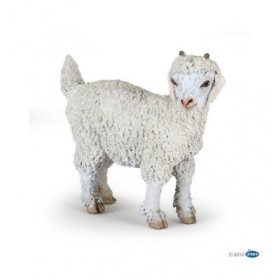 CABRA DE ANGORA JOVEN - PAPO