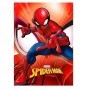 SPIDERMAN MANTA POLAR 100*140CM