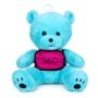 Oso azul-Squid Game Teddy Bear 25cm Display