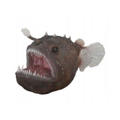 RAPE - XL - 88967 - COLLECTA