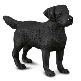 LABRADOR RETRIEVER -M- 88076 COLLECTA