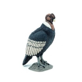 CONDOR - FIGURA PAPO