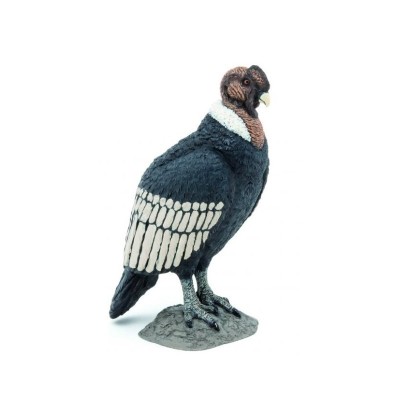 CONDOR - FIGURA PAPO