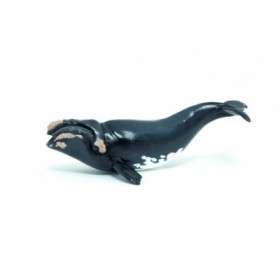 BALLENA BOREAL - FIGURA PAPO