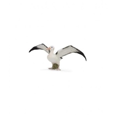ALBATROS ERRANTE - L - 88765 - COLLECTA