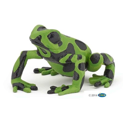 Rana ecuatorial verde PAPO