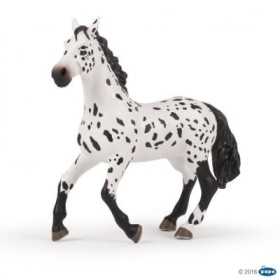 Gran Caballo Appaloosa PAPO