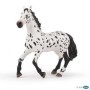 Gran Caballo Appaloosa PAPO