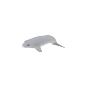 CRIA DE BELUGA - COLLECTA