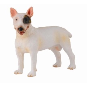 BULL TERRIER - MACHO -M- 88384 COLLECTA