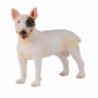 BULL TERRIER - MACHO -M- 88384 COLLECTA