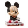 MICKEY HUCHA 3D 14 X 19.5 X 14CM